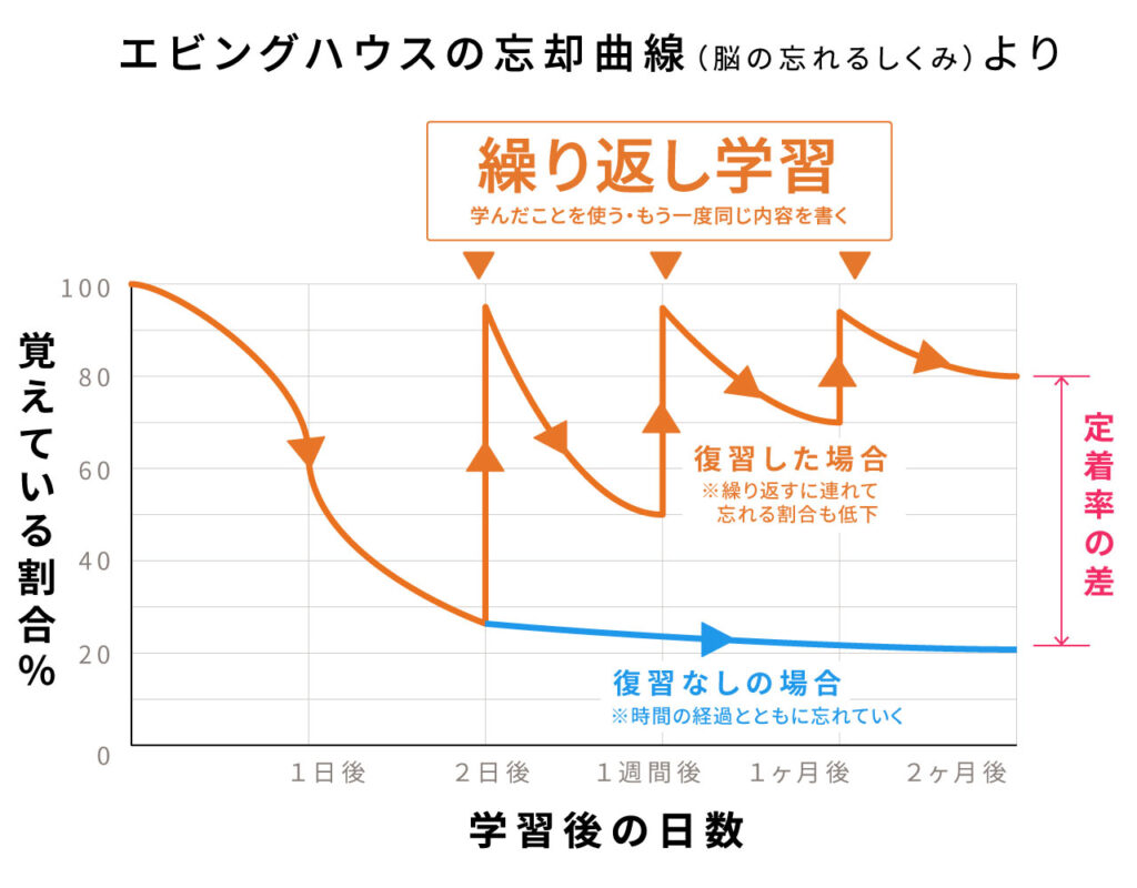 エビングハウスの忘却曲線のグラフ